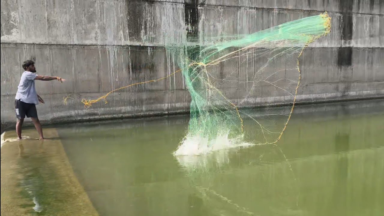 Village Style Net Fishing at Penna Barrage | Desi Fishing