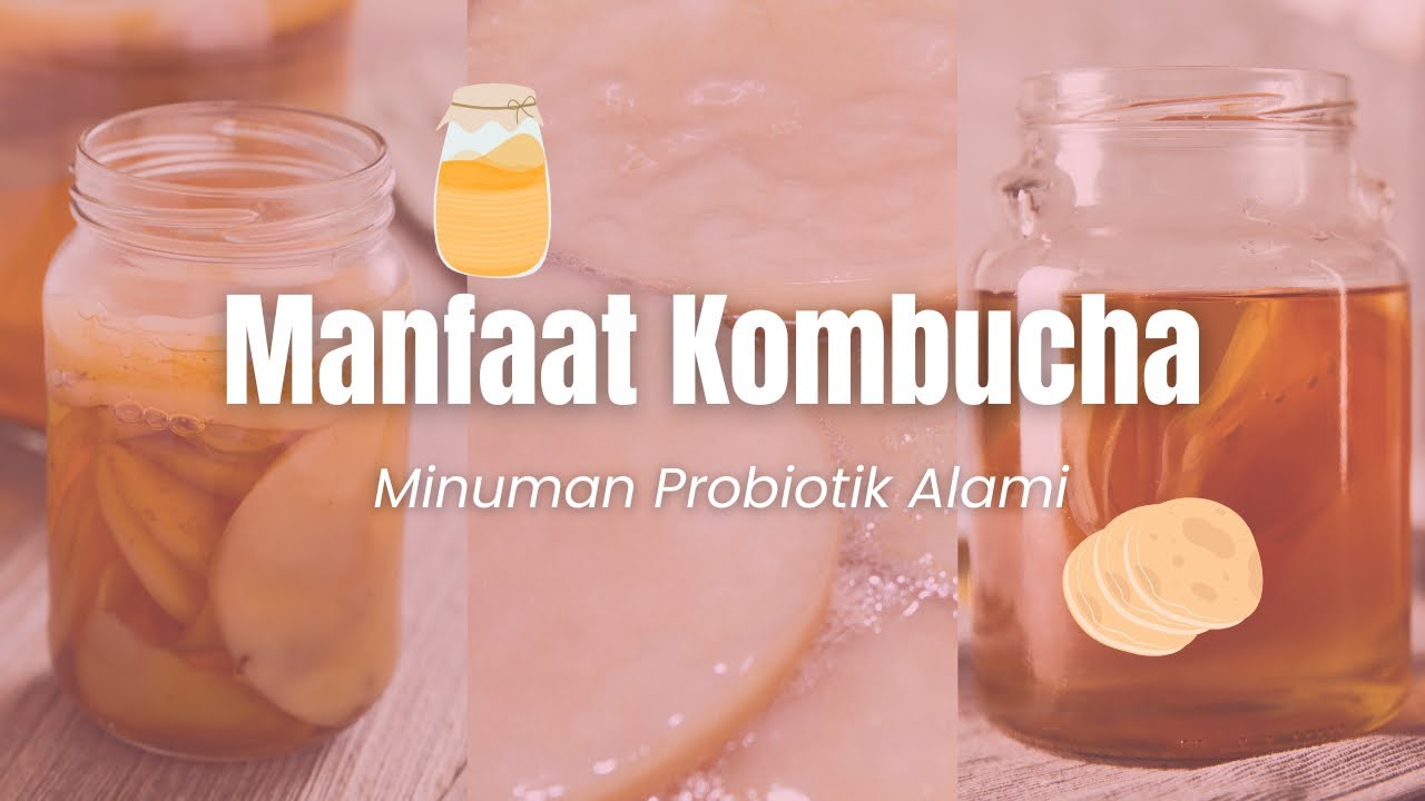 Minuman Asam yang Kaya Manfaat? Fakta Ilmiah tentang Kombucha 🍵🍃