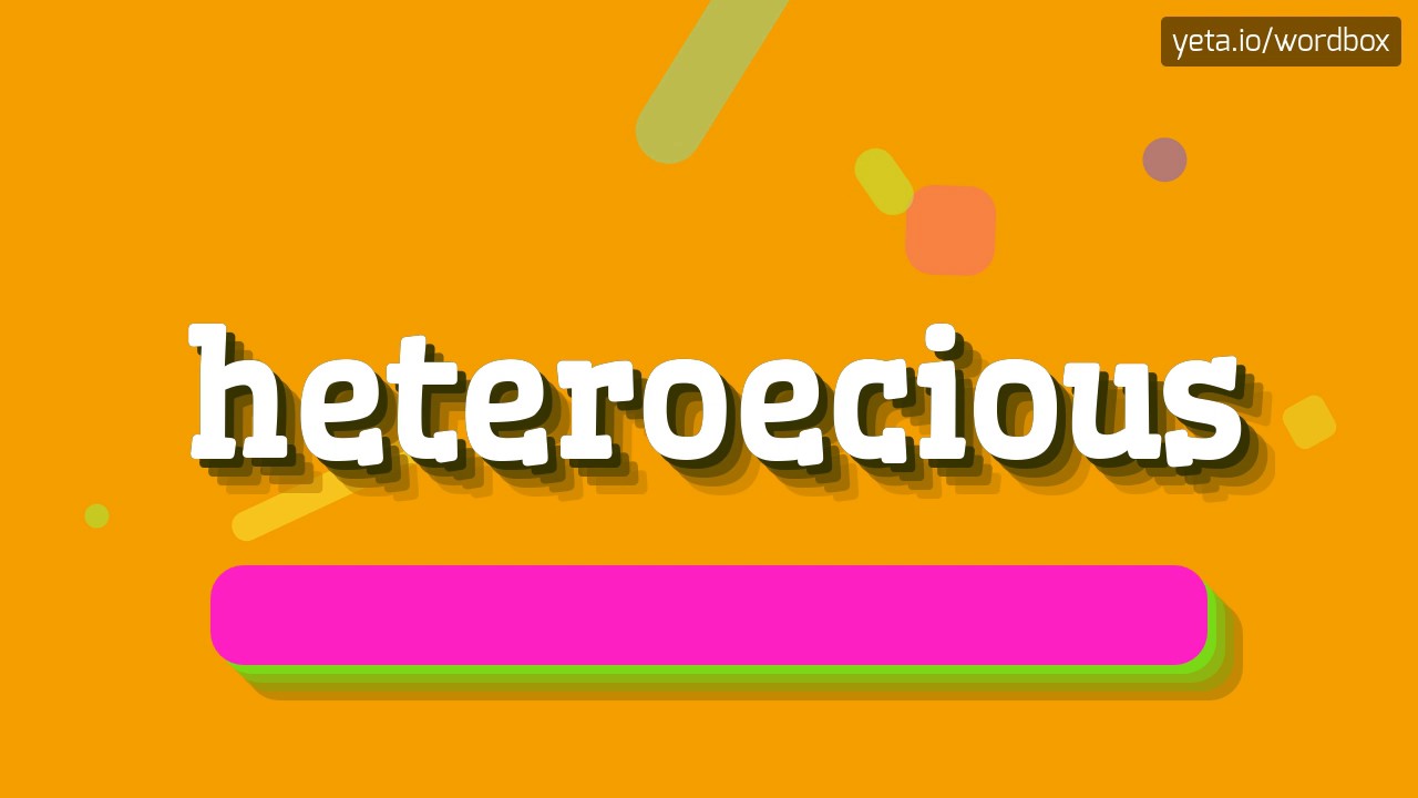 HETEROECIOUS - JAK TO WYŁOŻYĆ?  #heteroetyczny (HETEROECIOUS - HOW TO PRONOUNCE IT? #