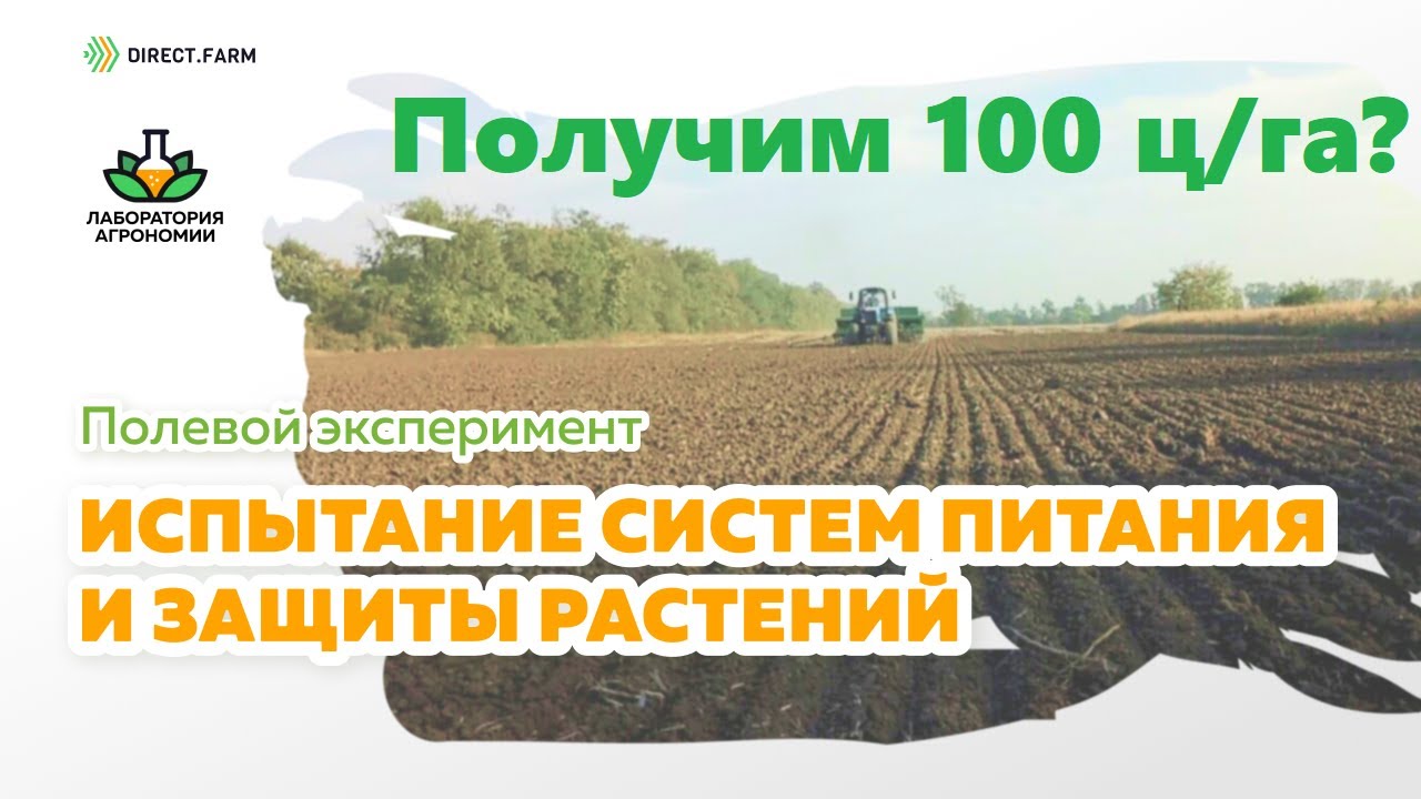 Итоги подкормки аммиачной селитрой