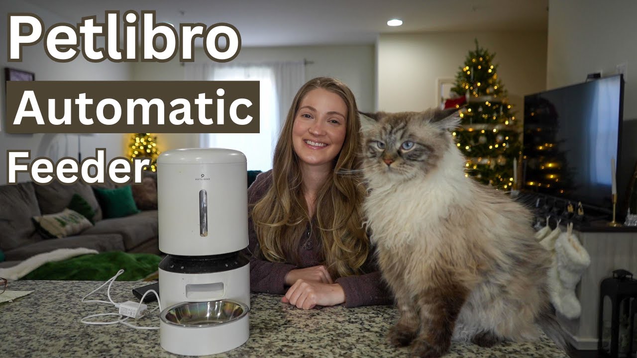 Обзор автоматической Wi-Fi кормушки для животных Petlibro Granary