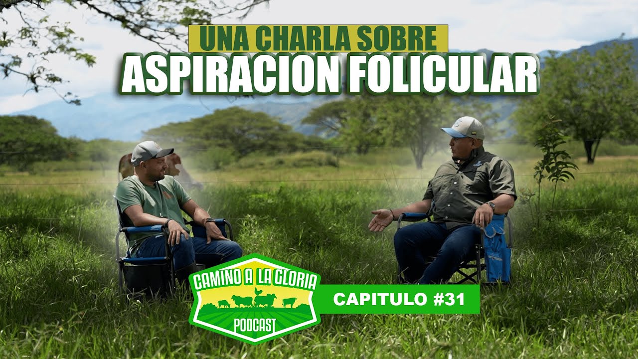 UNA CHARLA SOBRE ASPIRACION FOLICULAR CON EL DOCTOR WILMAR GRANADA