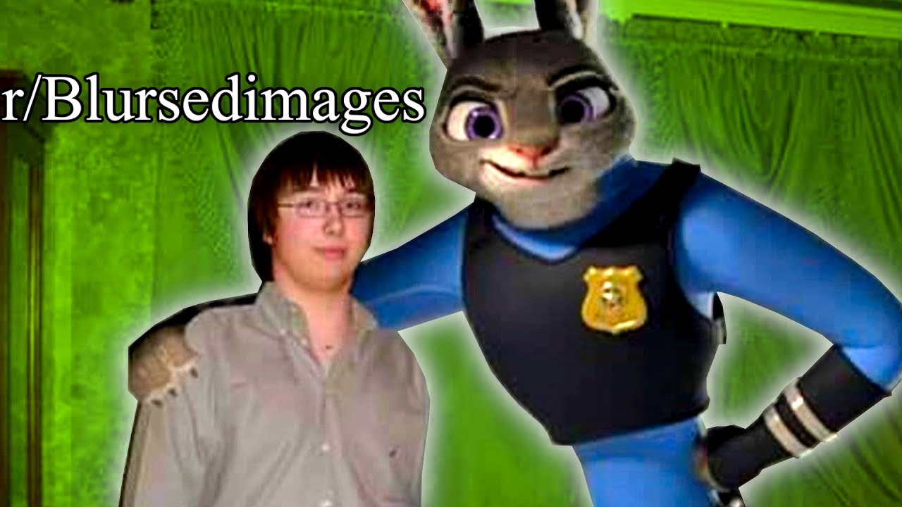 r/Blursedimages | ZOOTOPIA 3