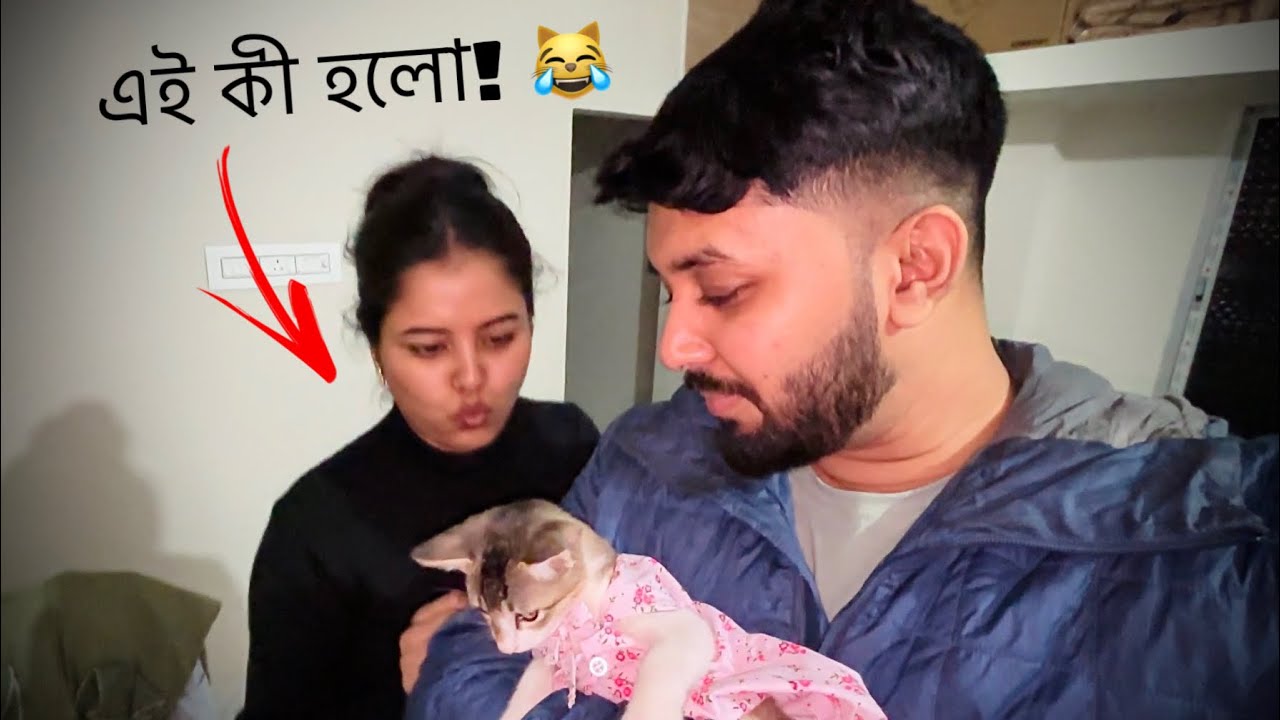 বউ আর বিড়াল একসাথে হলে যা হয় 😹