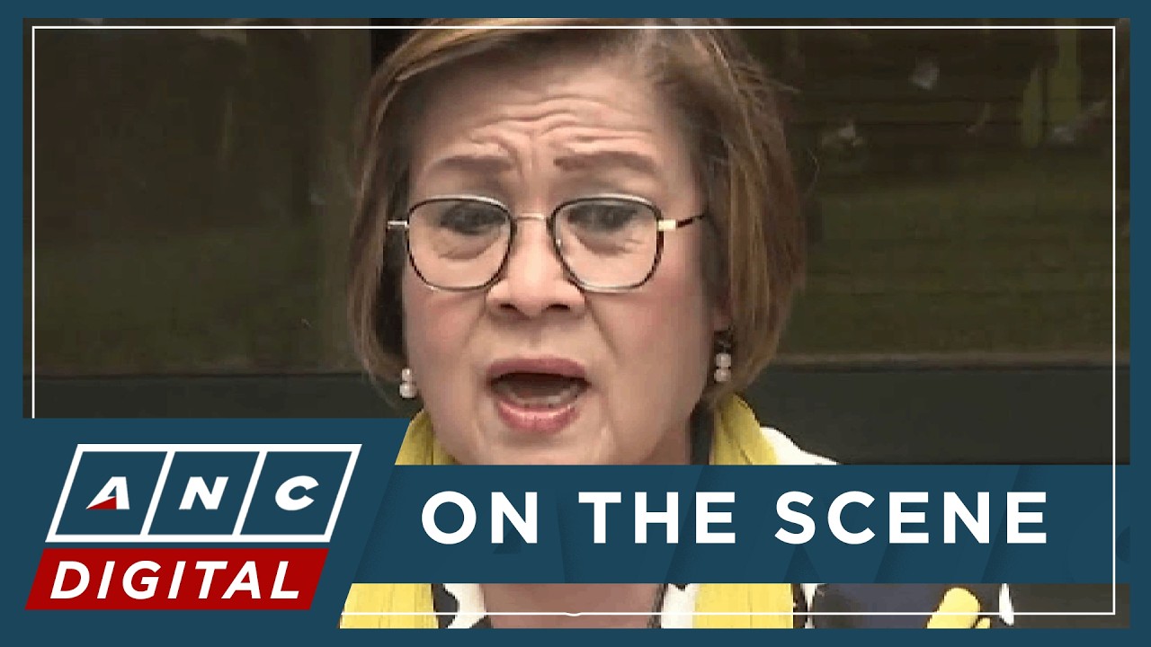 De Lima hits Kaufman: 'Gaslighting ang ginawa ng defense counsel' | ANC