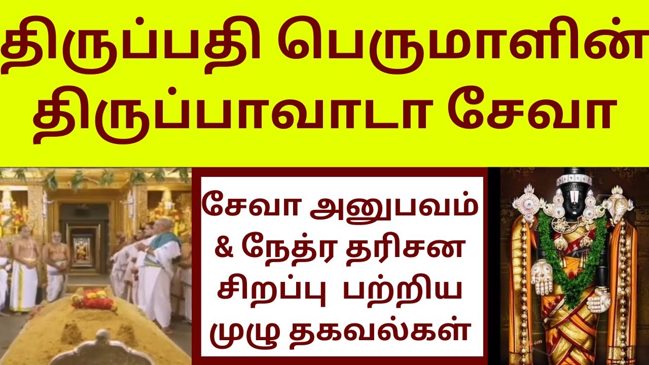 Tirupathi Perumal Tirupavada Seva & Swamy Near Nethra Dharshan My Experience With Full Seva Details