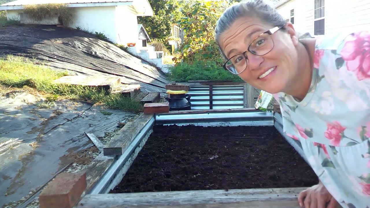 SHEDWARS GLOBABL GARDENING 22 (G) - Pelleted carrots seeds