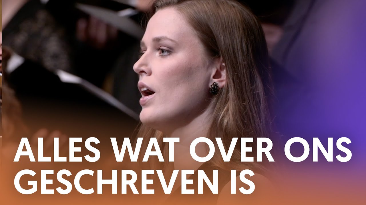 Alles wat over ons geschreven is - Nederland Zingt