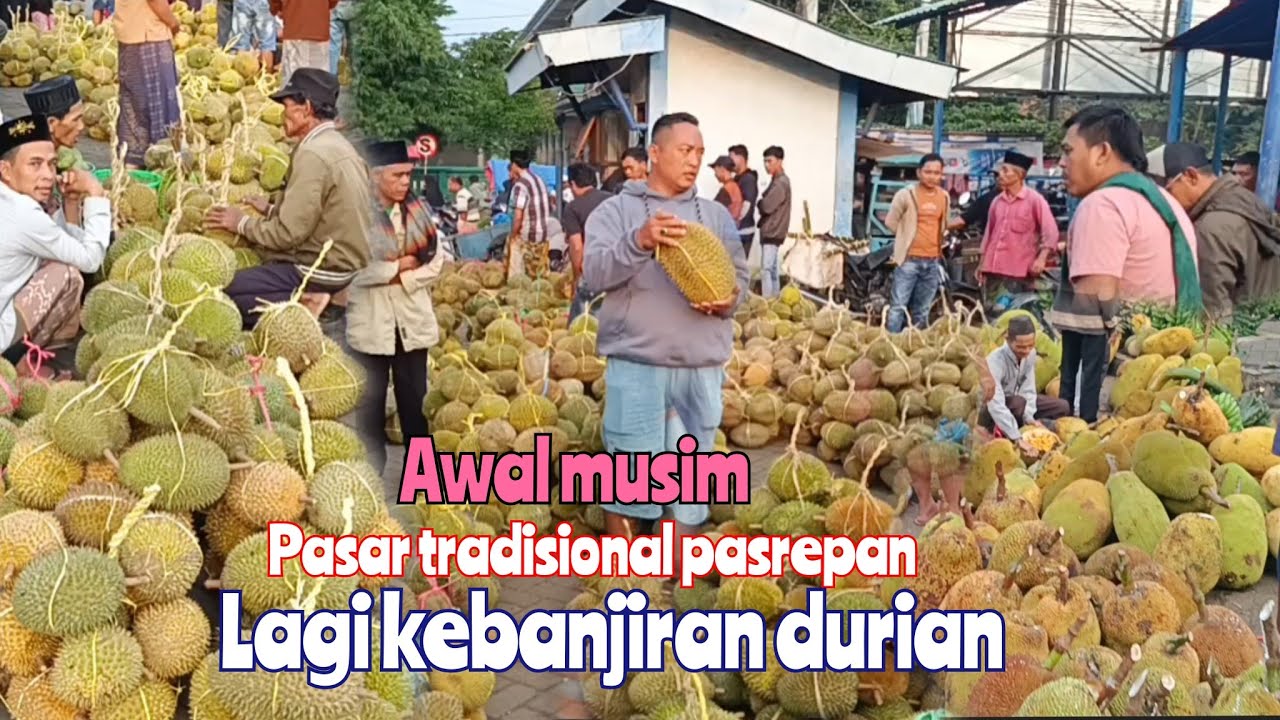 HARI SELASA DURIAN SEMAKIN BANYAK LIHAT HARGA NYA DI PASAR BUAH PASREPAN ADA PETTE  NANGKA ALPUKAT