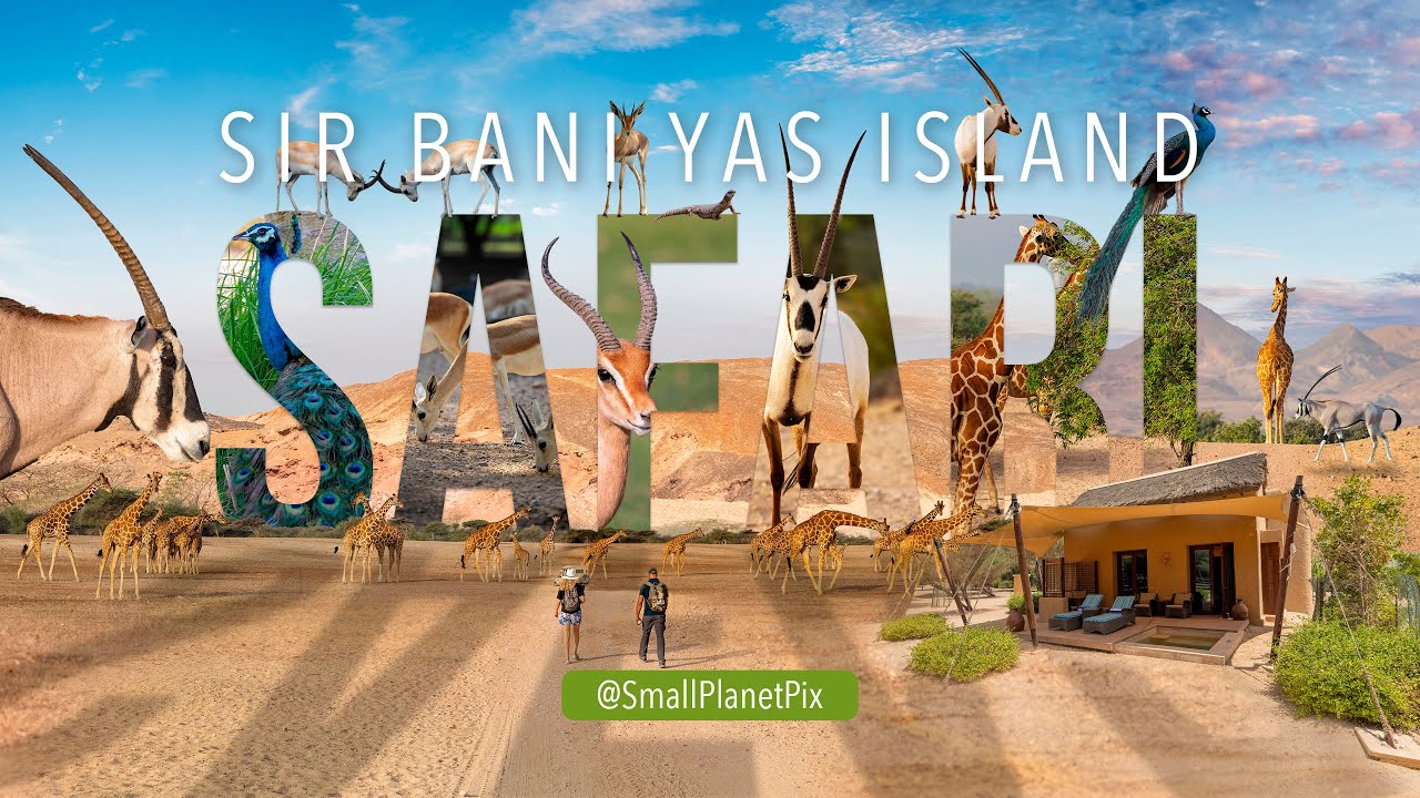 Walk with Giraffes Middle Eastern Safari - Sir Bani Yas Island Abu Dhabi 2 day visit