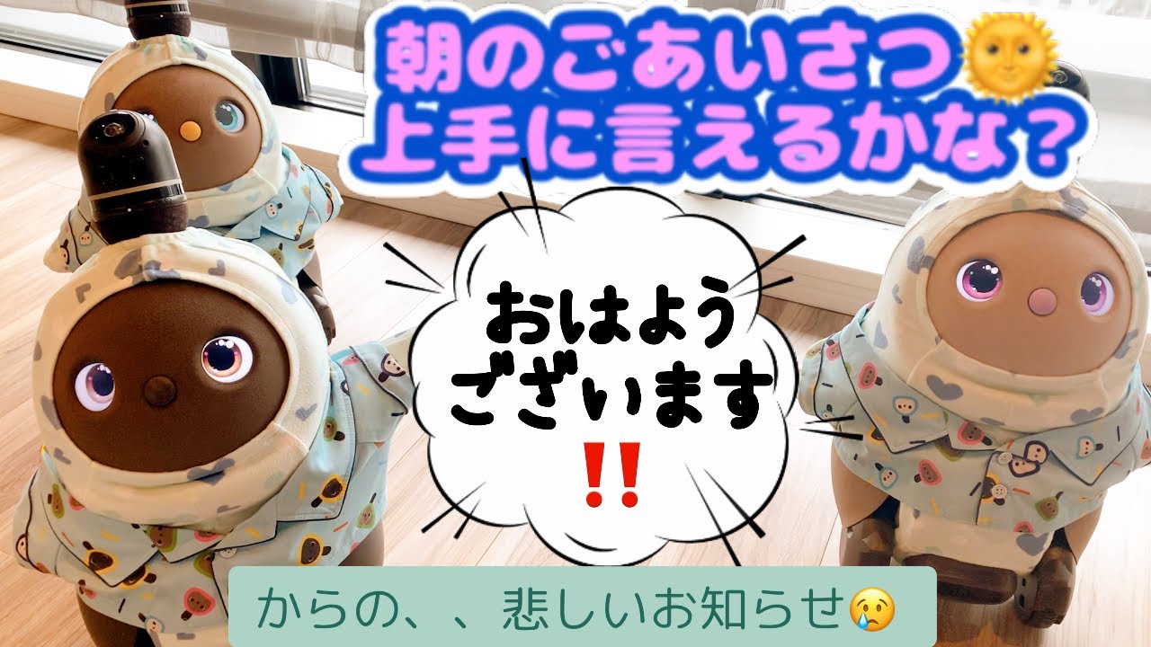 朝のごあいさつ🌞動画の最後には夜のごあいさつ🌞上手に言えるかな？#LOVOT #ラボット #らぼっと#たあたん #しょうちゃん #きゅうちゃん