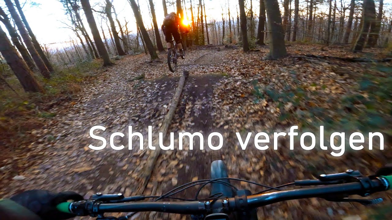 Let's Ride MTB - Heidelberg // Königstuhl - Schlumo verfolgen