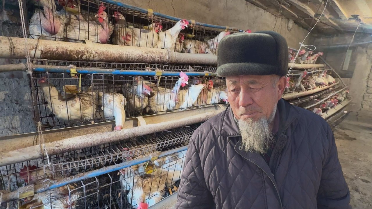УТРК НАРЫН: ТООК БАГЫП ТООДОЙ КИРЕШЕГЕ ЖЕТСЕ БОЛОТ