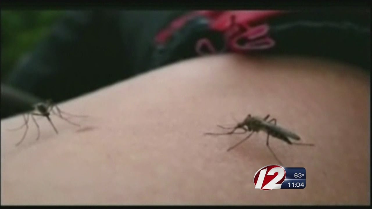 West Nile Discovered in Southern Massachusetts
