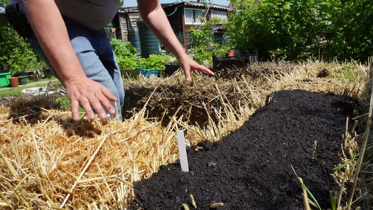 The beginnings of the straw bail garden