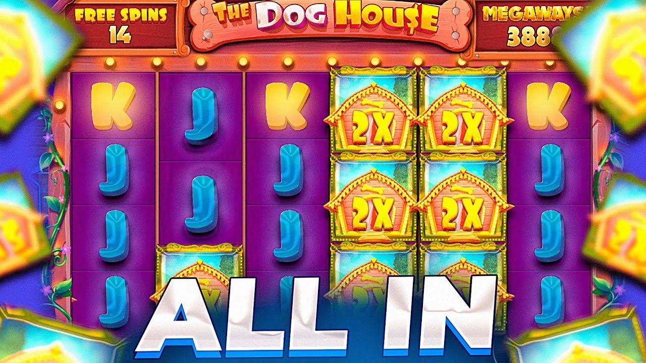 ВЗЯЛ БОНУСКУ ALL IN В НАДЕЖДЕ НА ЗАНОС В THE DOG HOUSE MEGAWAYS ( ПОЙМАЛ ЗАНОС? )