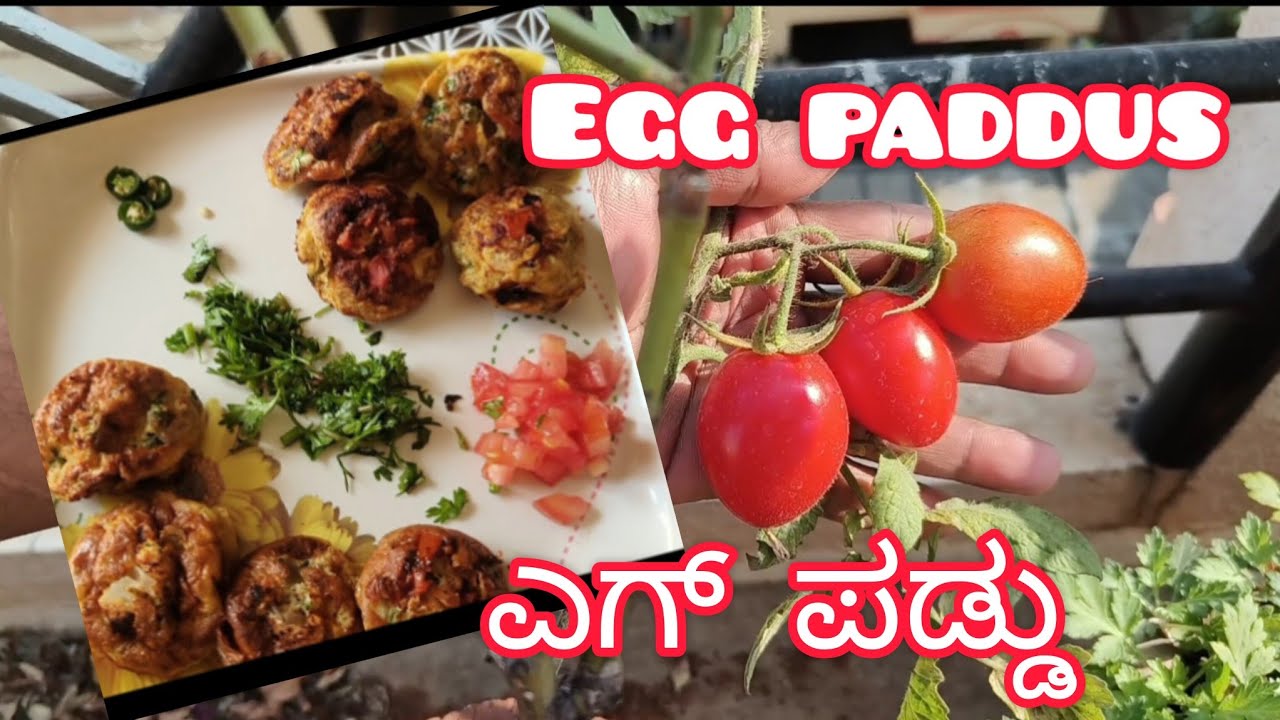 Spicy Egg Paddu || ಎಗ್ ಪಡ್ಡು #homegrown #growyourown #eggrecipe #homegrowntomatoes