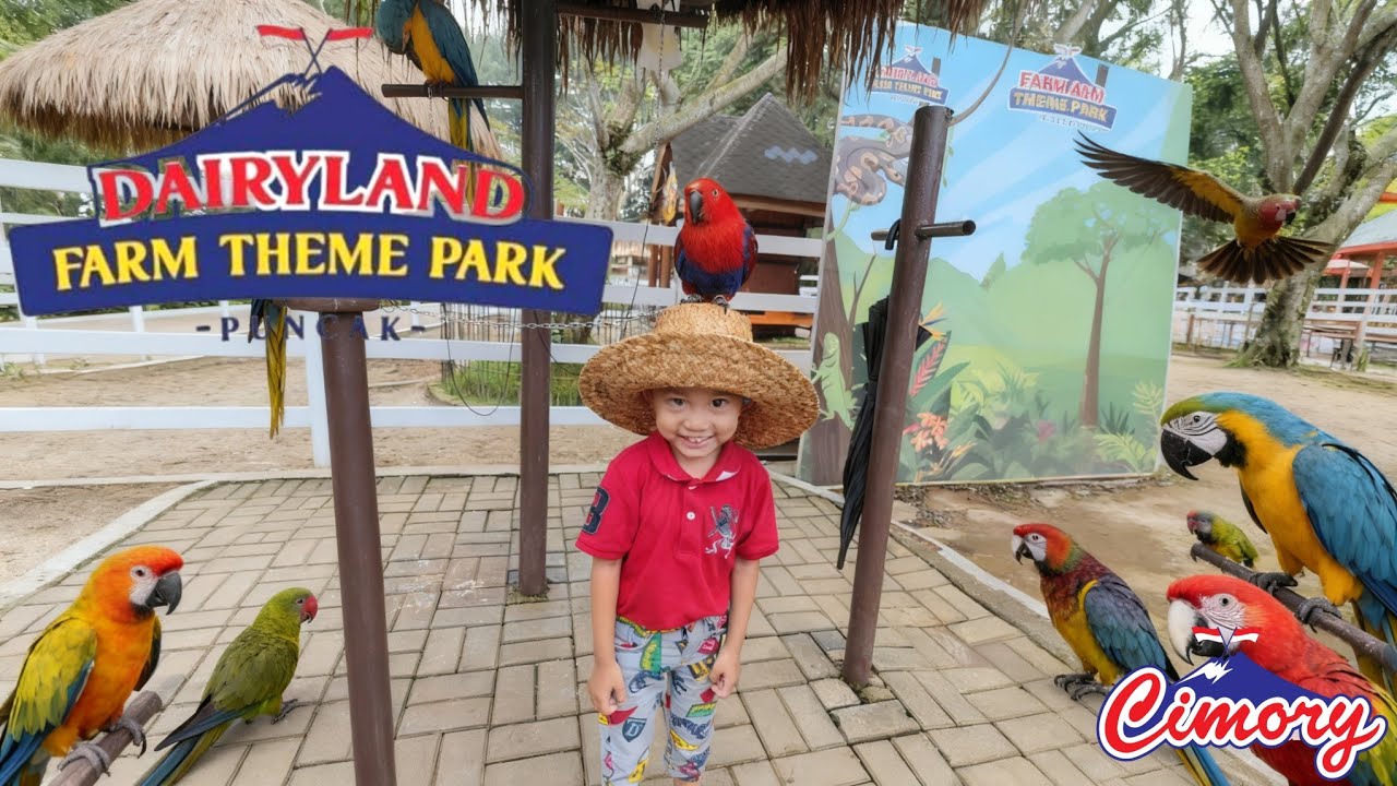 Cimory Dairyland Puncak Bogor Update Terbaru 2026