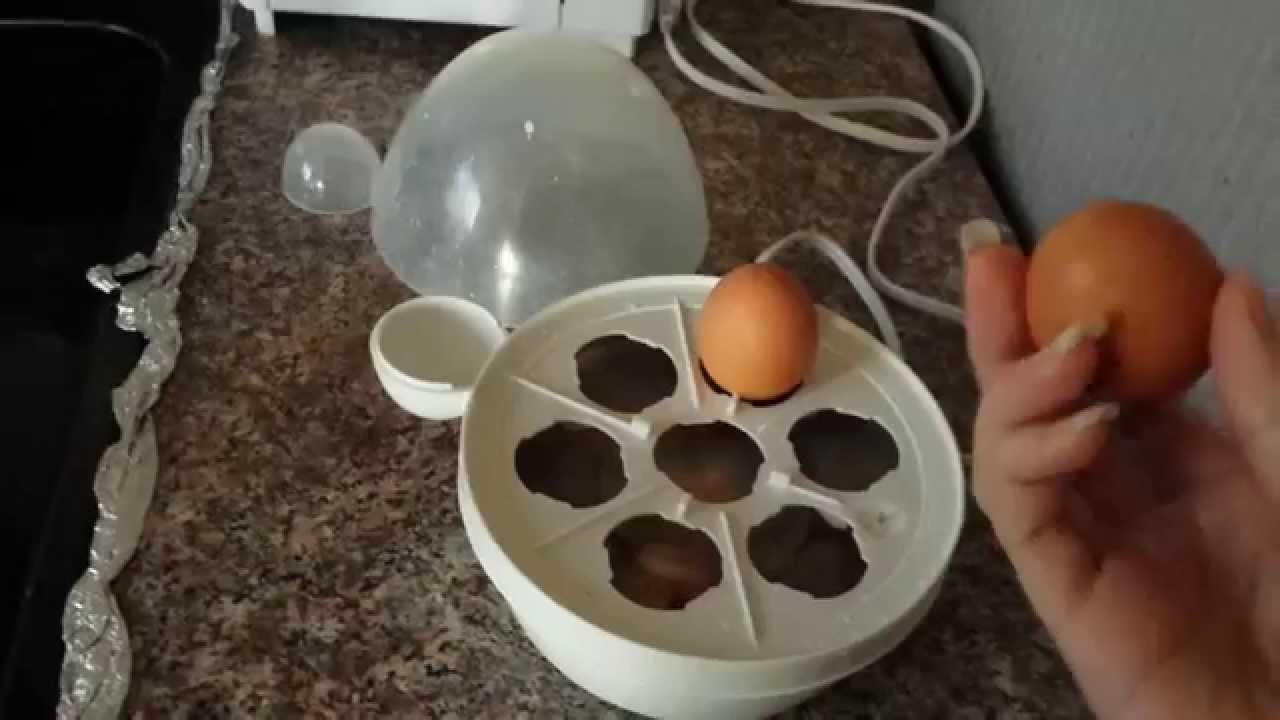 How to use an Egg Geenie