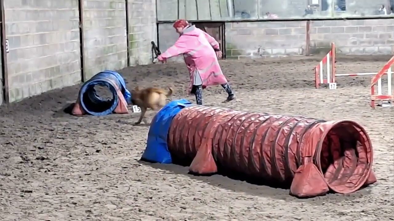 Agility 22.01.2026