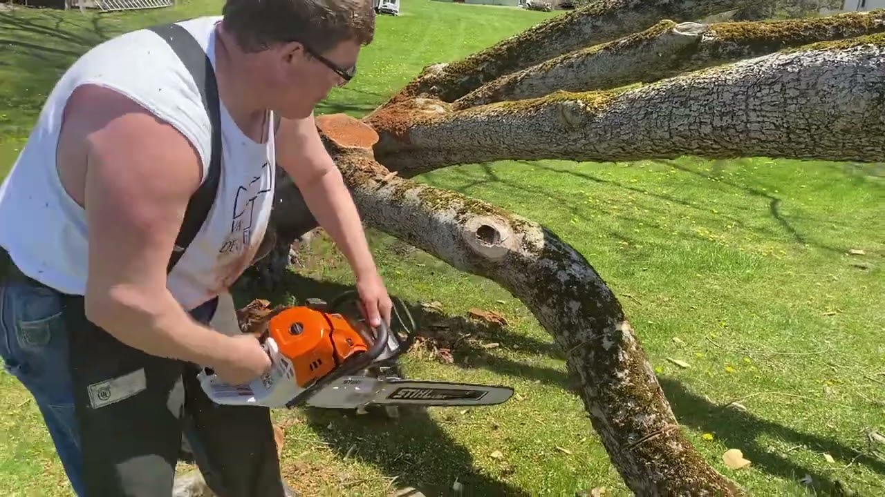 Stihl 500i: The Way I Like To Cut Firewood (2022)