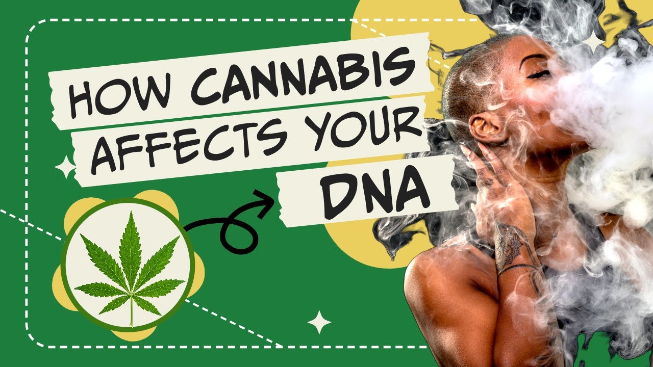 How Cannabis Affects Your DNA: An Exploration of a Groundbreaking Study