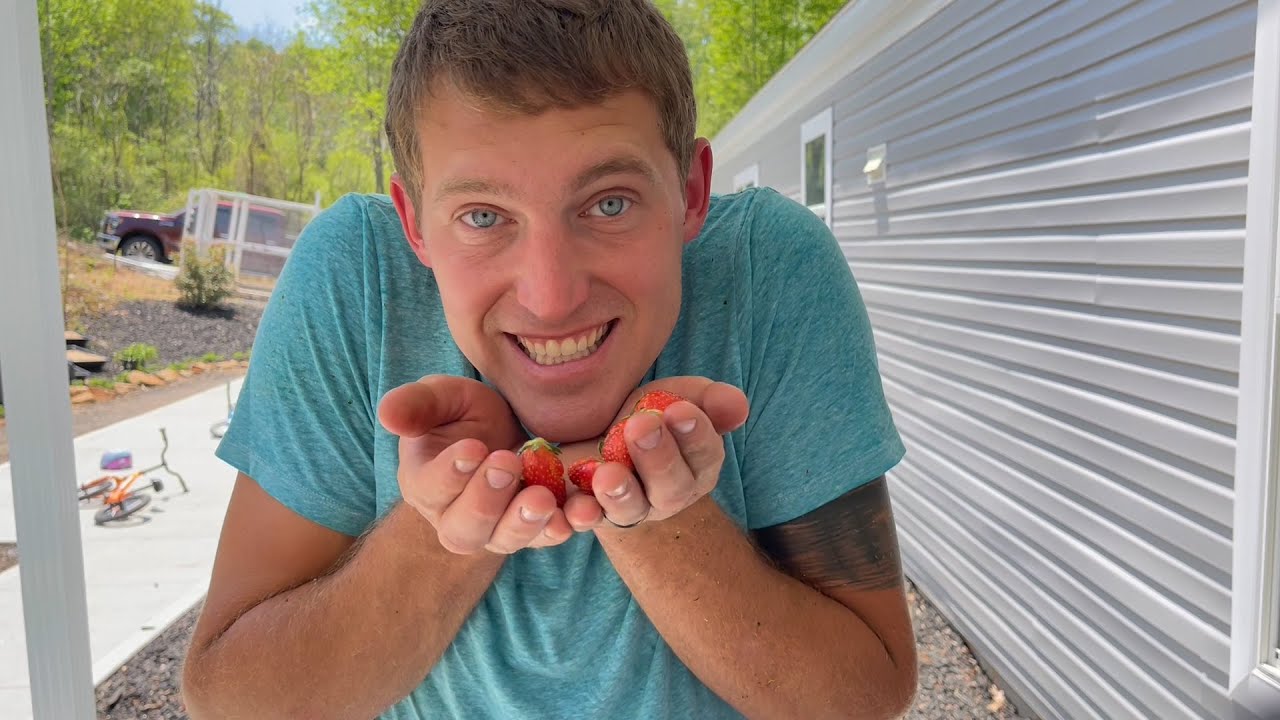 Making our MOBILE Home a HOME | Strawberries and LANDSCAPE