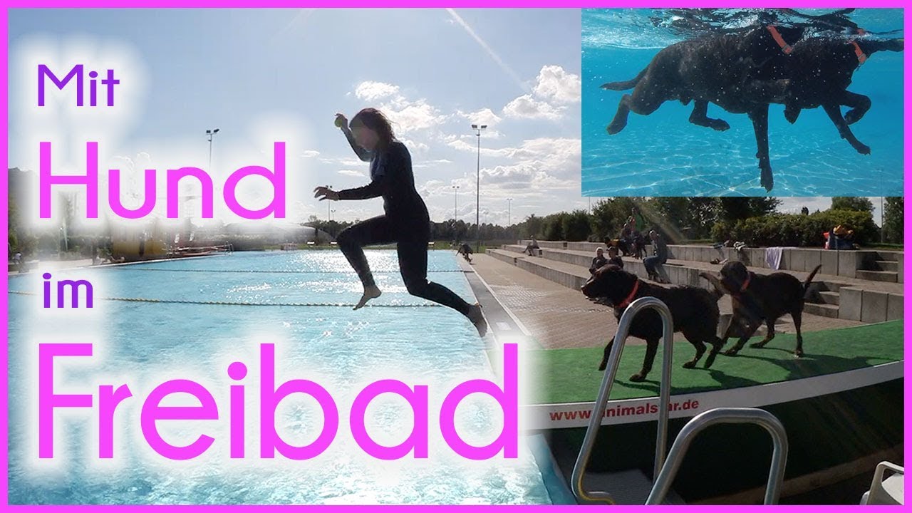 ♡ Milka Mittwoch ♡ 1 Tag im Freibad 2.0 ♡ KaroLovesMilka