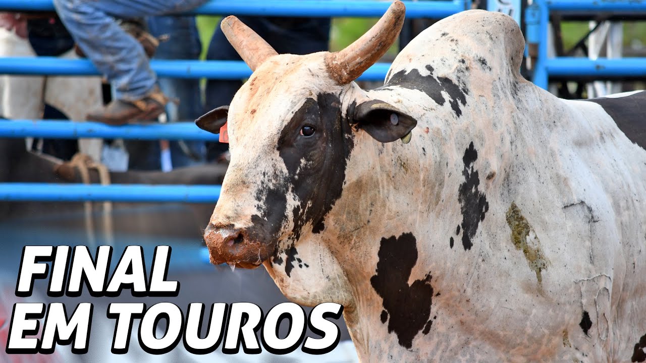 ✅ (FINAL EM TOUROS) - Radar CRP 2022 / 2ª TURMA