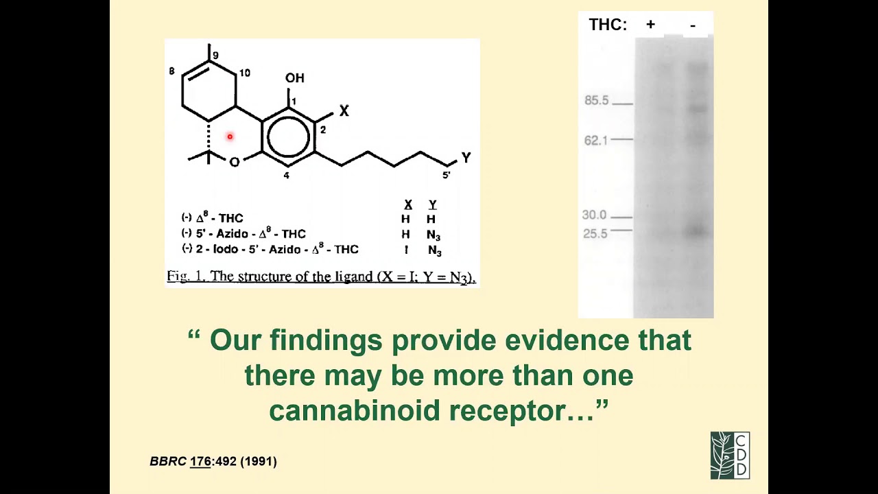 Alexandros Makriyannis, PhD- Cannabinoid Receptors: Structures, Functions and History