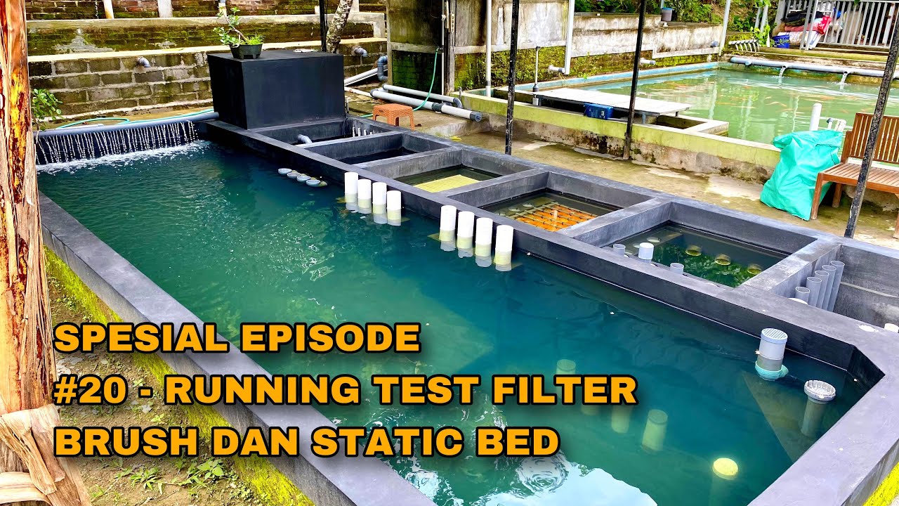 SPESIAL EPISODE #20 - RUNNING TEST KOLAM DENGAN FILTER BRUSH DAN STATIC BED HASILNYA BENING