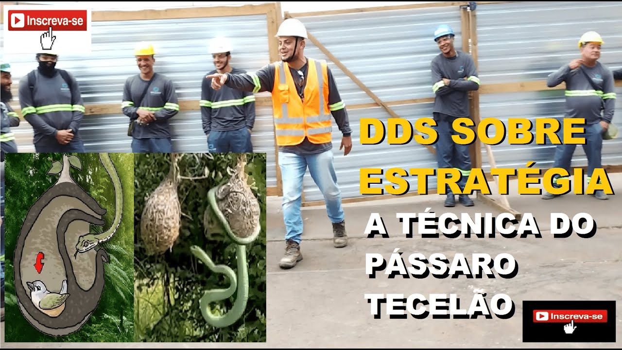 DDS/Palestra motivacional de: Estratégia, a grande lição do pássaro tecelão (Rômulo Veras)
