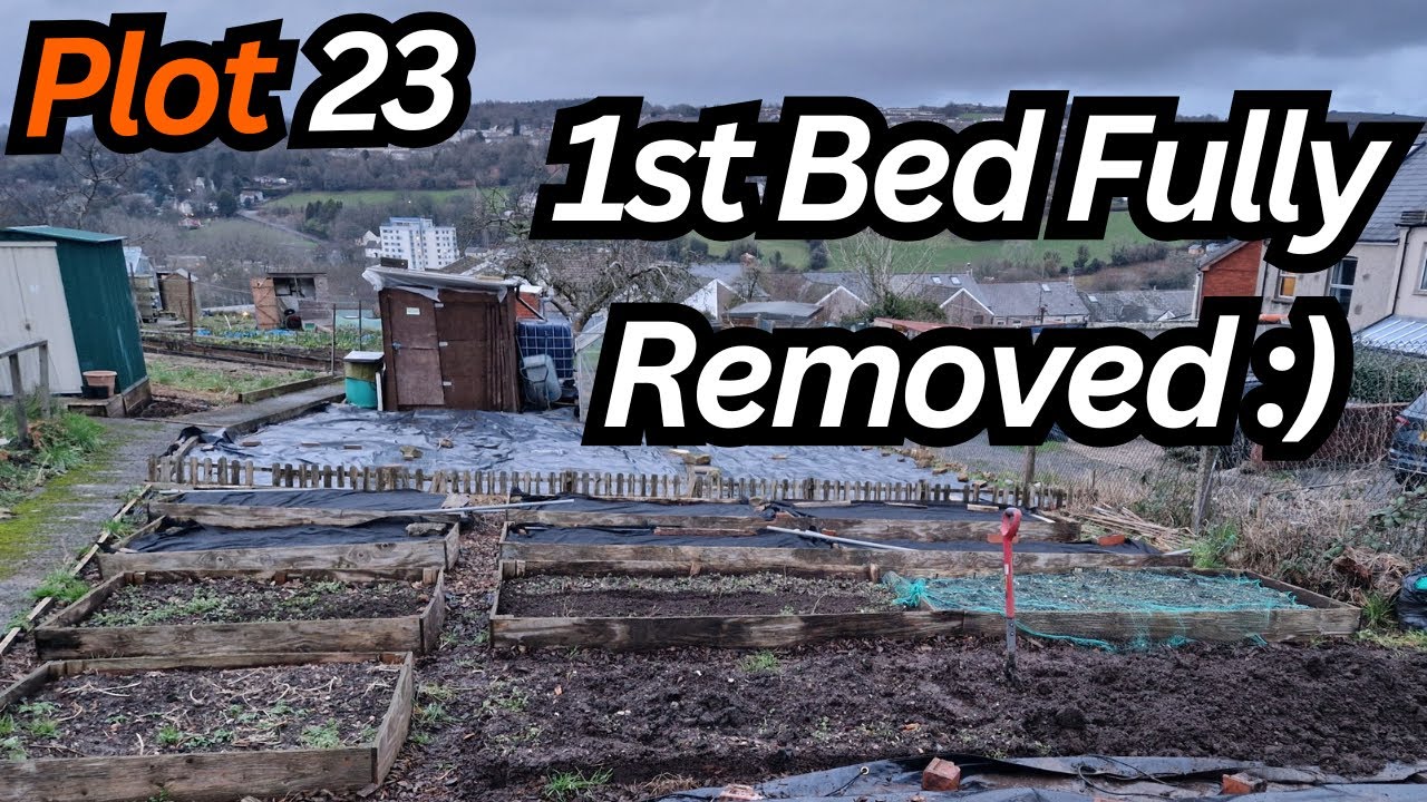 A Little more progress done on the Allotment