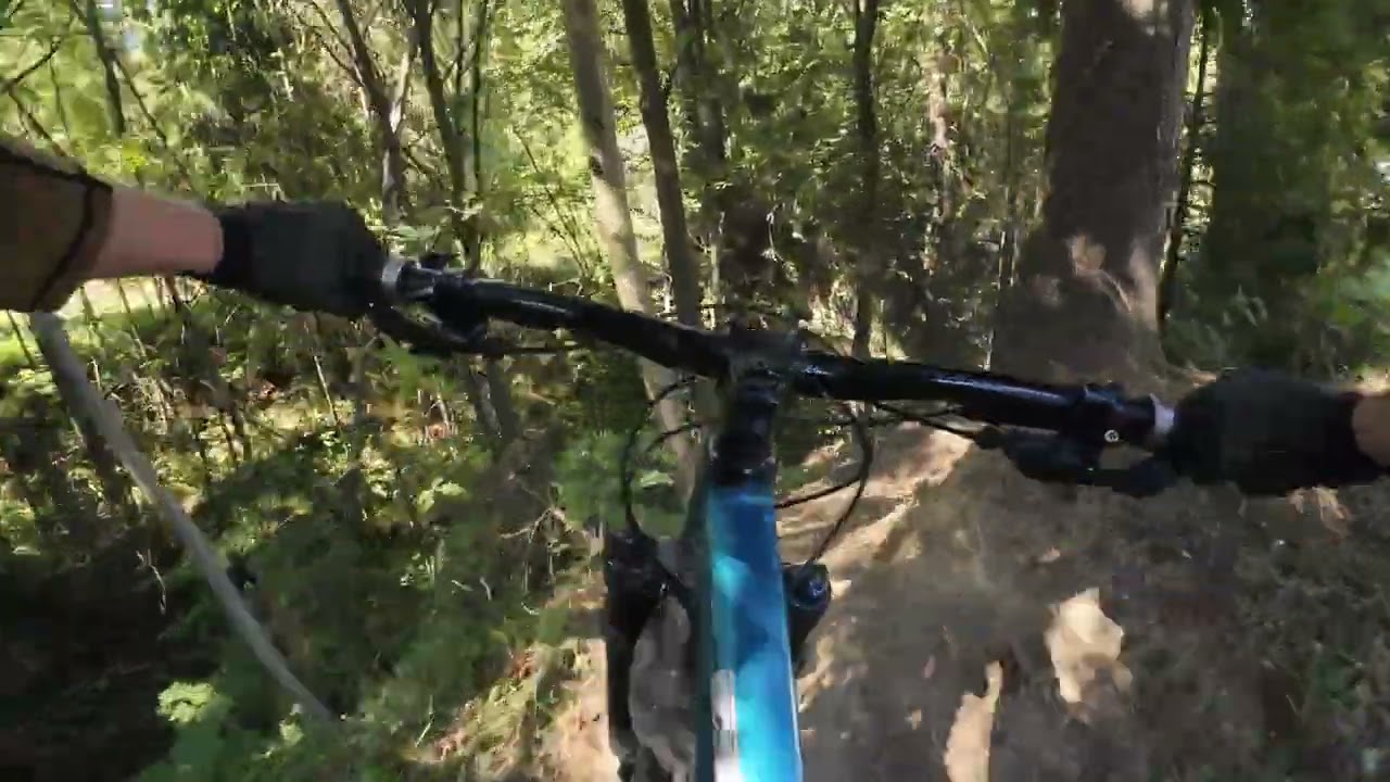Lisica -  Gravity Park Kotelnica Białczańska | Bike park Białka Tatrzańska