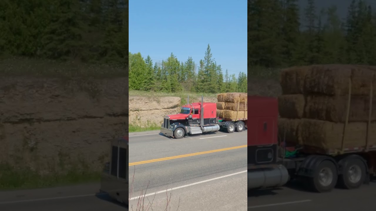 W900 Kenworth Hauling Straw South of New Liskeard, Ontario #shorts #truckspotter