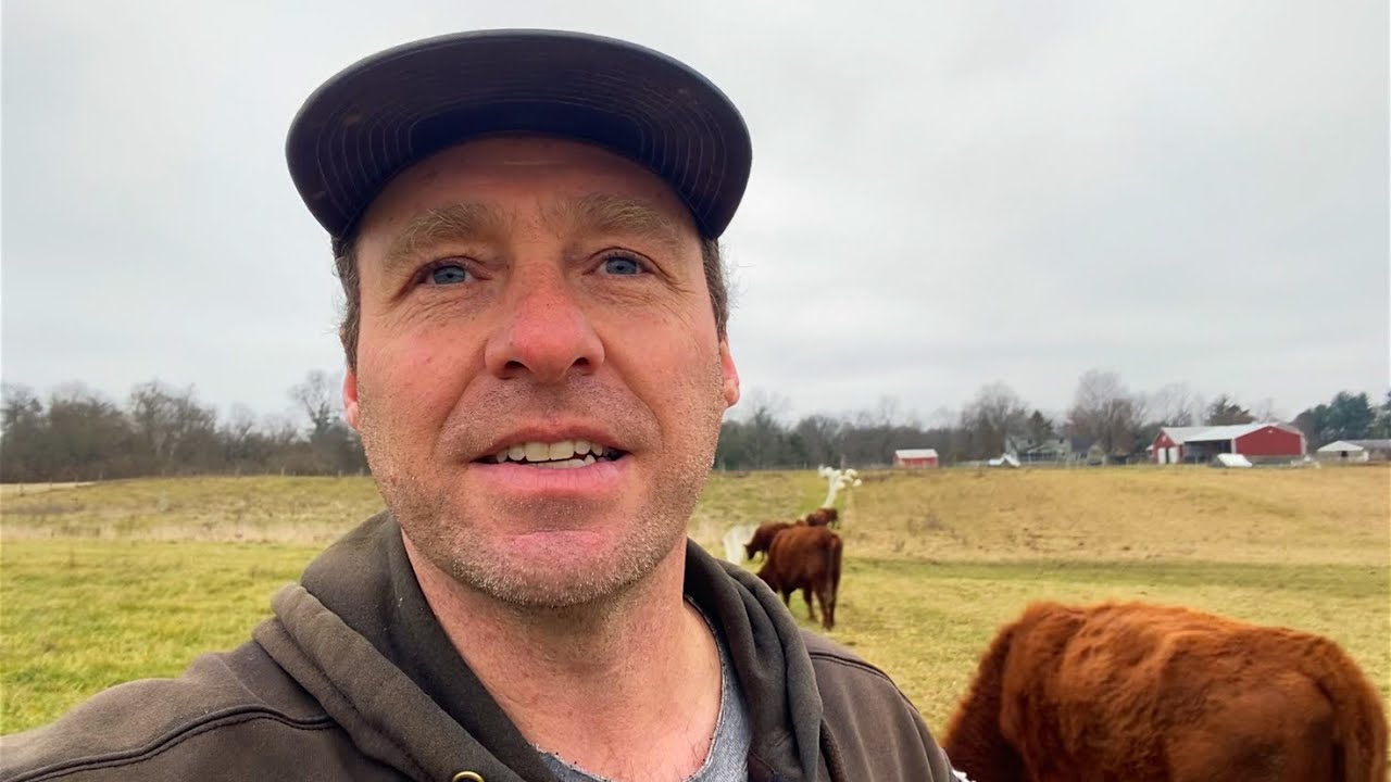 $5K Sheep Investment Beats the Dow #regenerativeagriculture 