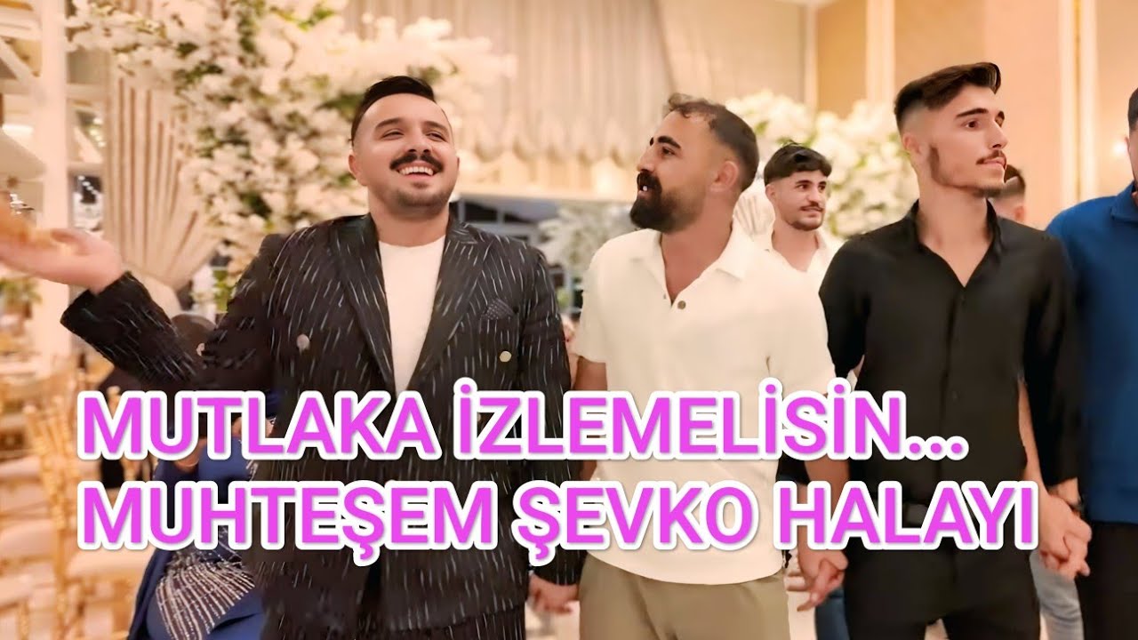BU HALAYI ÇOK SEVECEKSİNİZ - ŞEVKO HALAY İZLE - YAKUP YAZICI #halay #halaybasi #şevko #şewko #düğün