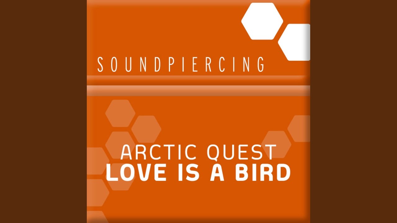 Love Is A Bird (Original Mix)