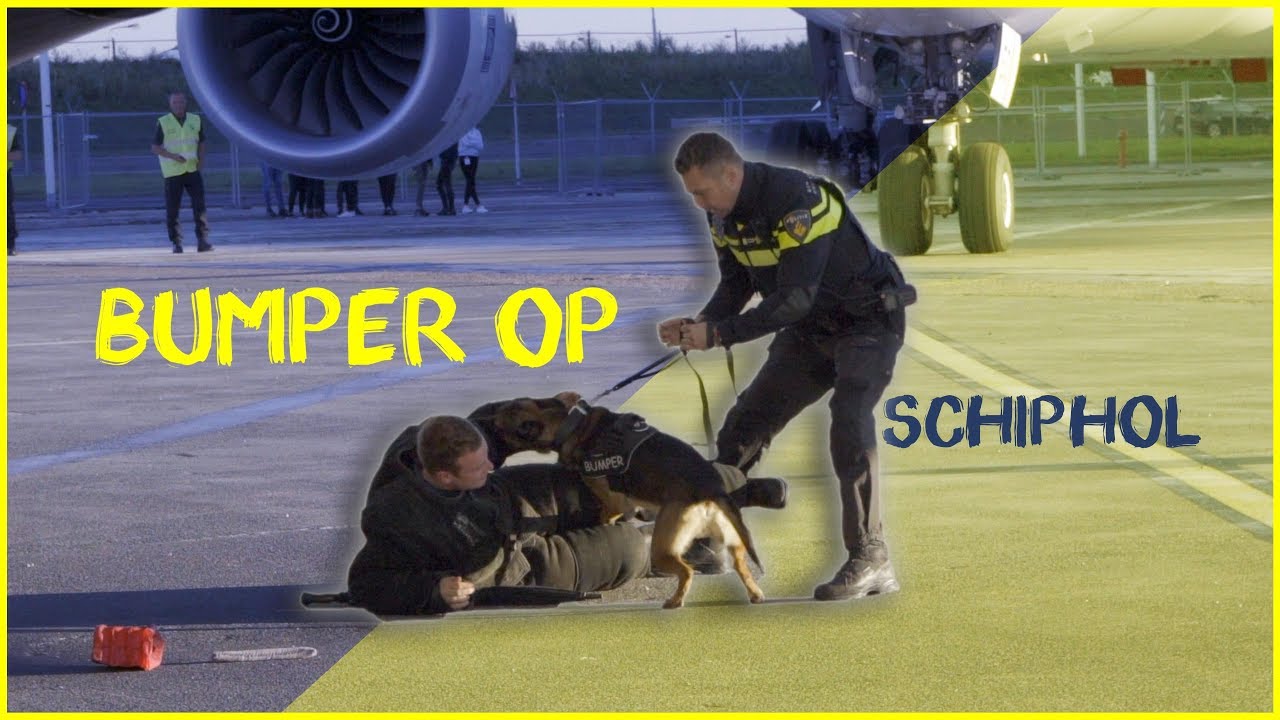 Bumper op Schiphol