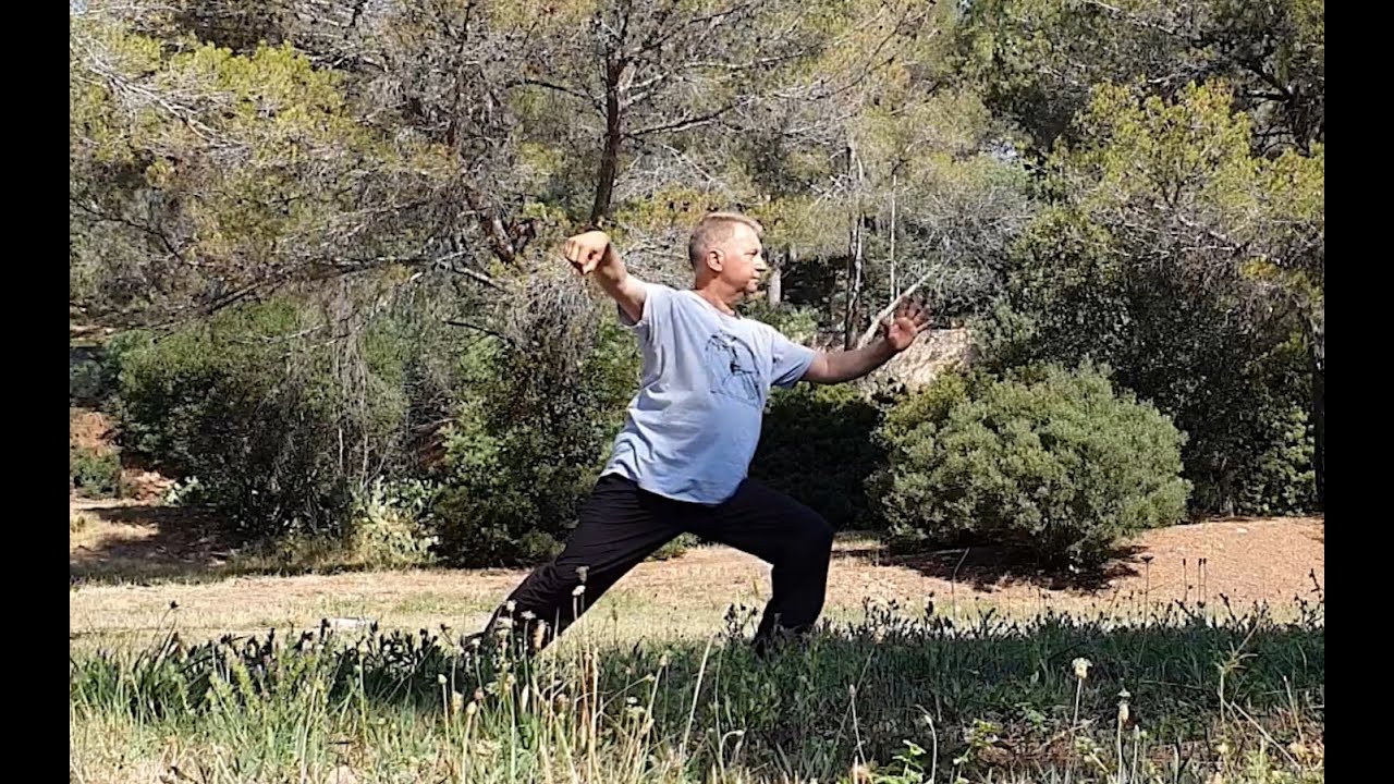Forme 108 - Taijiquan style Yang - 1ère partie (version 3)