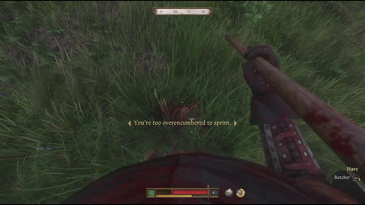 Kingdom Come: Deliverance II part 25