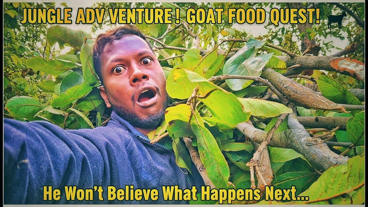 ​Bechari Bakriyan Bhookhi Thi! 🌿 Aaj Jungle mein bahut mehnat ho gayi