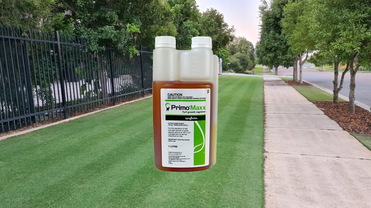 Syngenta PrimoMaxx - Reduce vertical growth whilst improving turf health