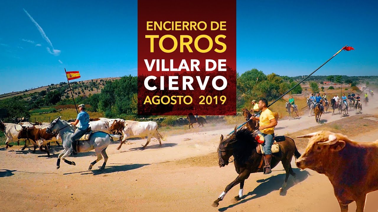 Encierro de Toros de Villar de Ciervo 2019