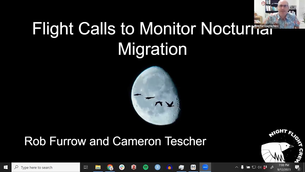 Flight Calls to Monitor Nocturnal Migration