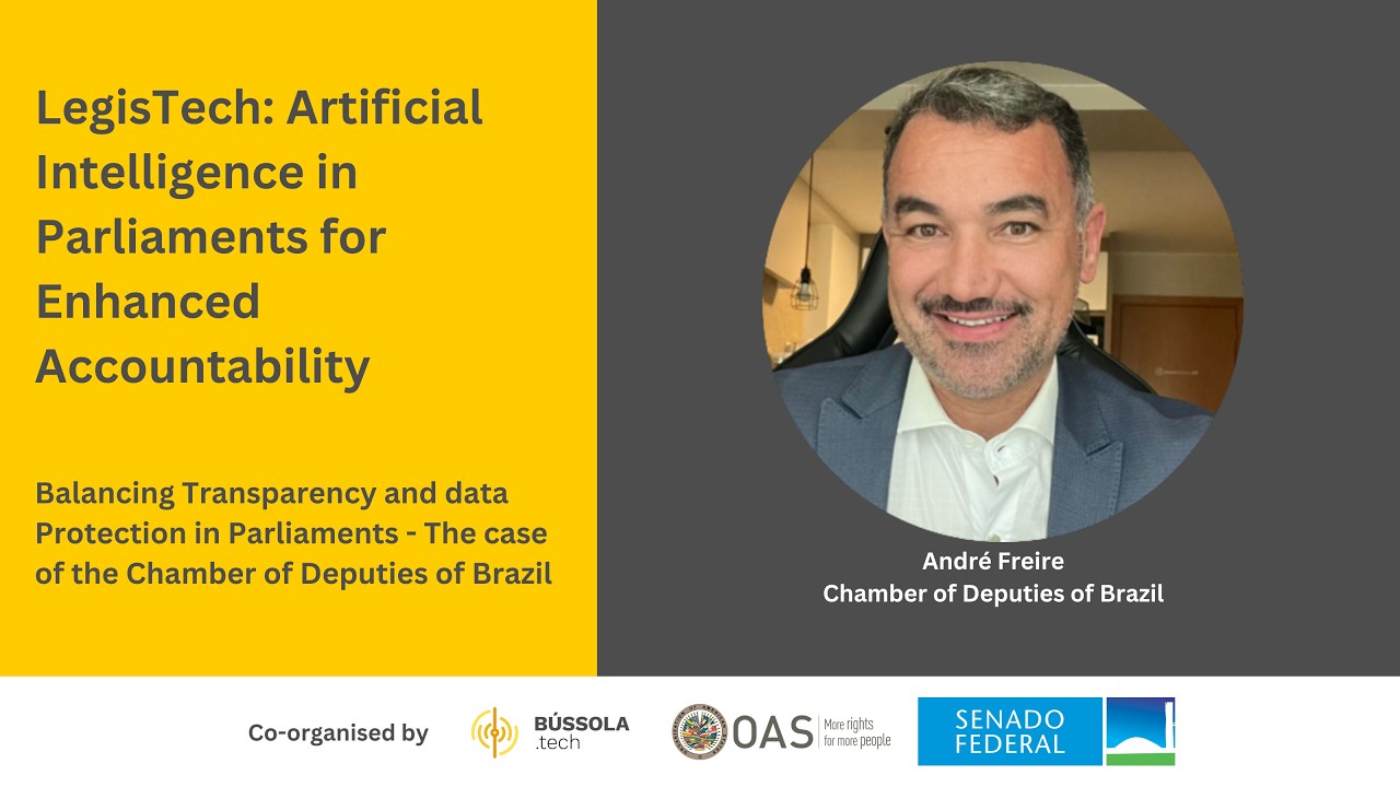 Balancing Transparency and Data Protection - The case of Chamber of Deputies of Brazil [BTV0000745]