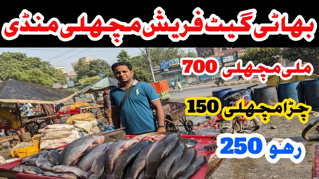 Bhati Gate Fresh Fish Market | Wholesale Fish Market Lahore | Lahori Life