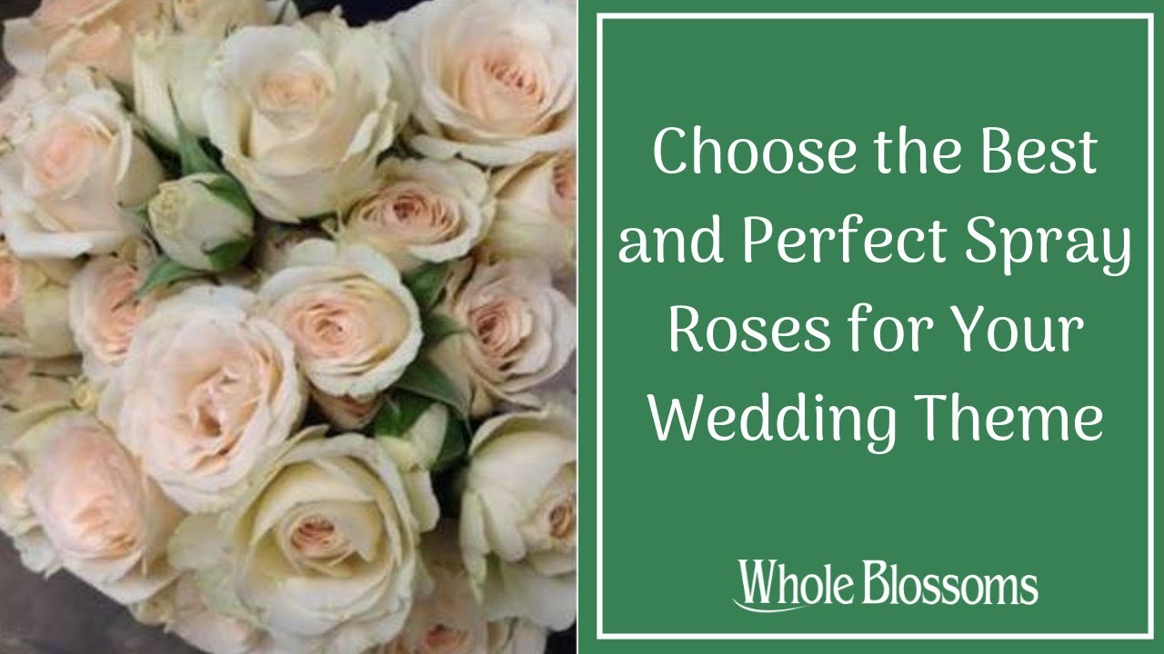 Choose the Best and Perfect Spray Roses for Your Wedding Theme