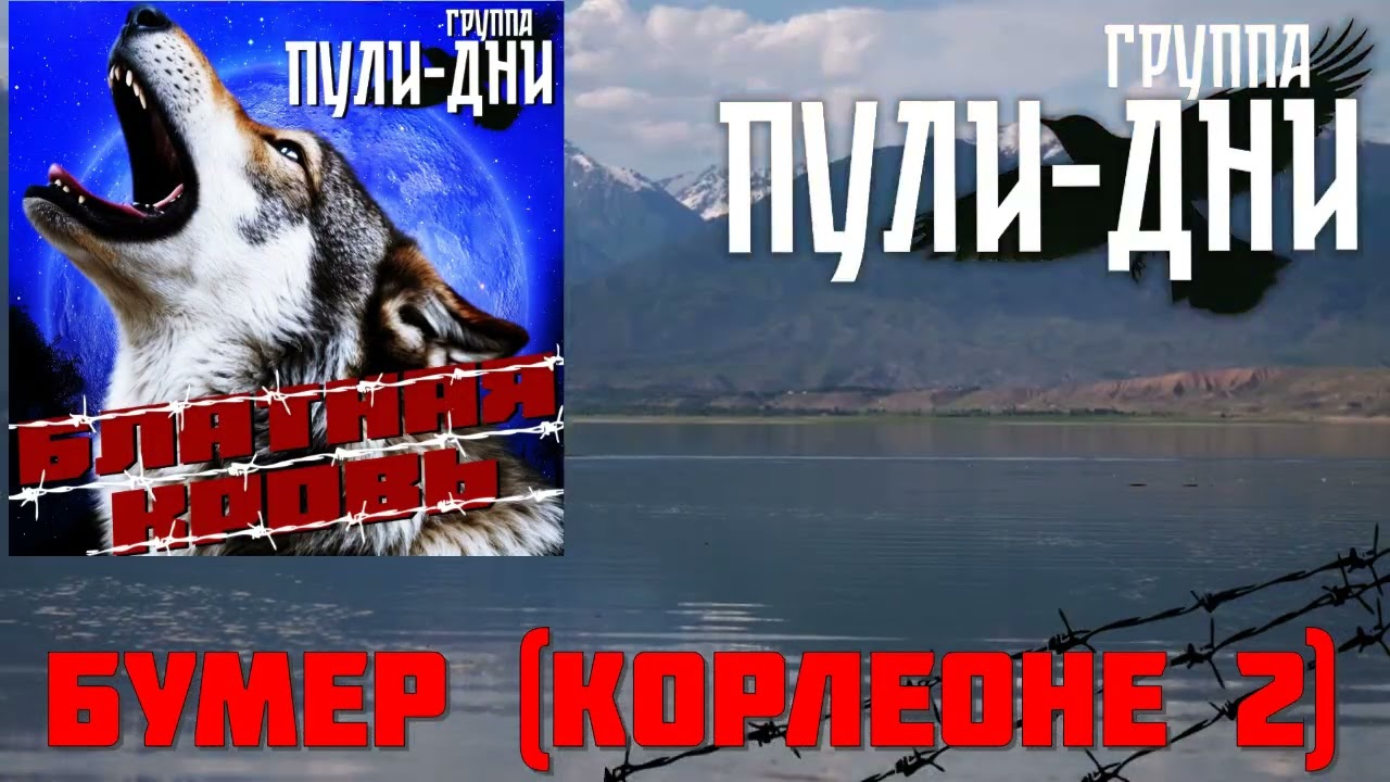 Группа Пули Дни   Бумер