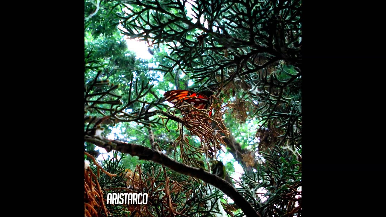 Aristarco - Perro Solar